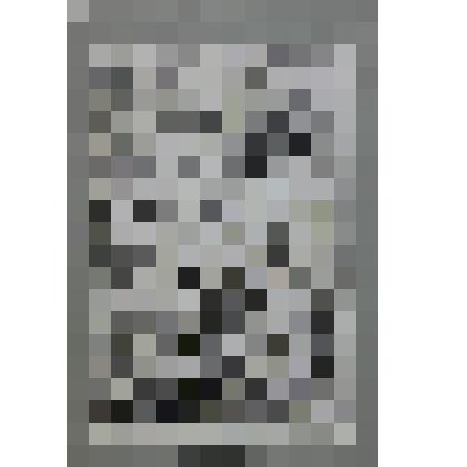 Иллюстрация №7. " Город Грязовец в Париже, или одно из первых наименований города на карте 1706 года". На паспорту, в файле. Иллюстрация