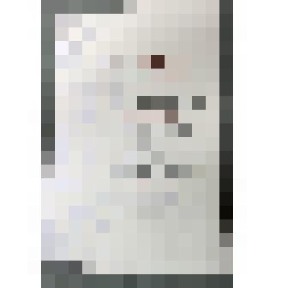 Диплом Гусеву П.И. за скульптурную композицию "В.Чкалов"