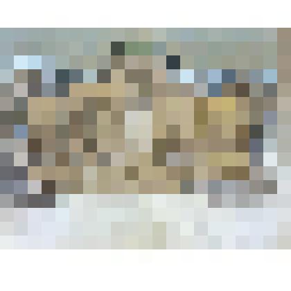 "Павловск". Рисунок