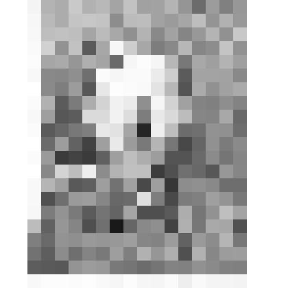 Ванягин Михаил Нколаевич (1906-1942), участник ВОВ.с. Тушна