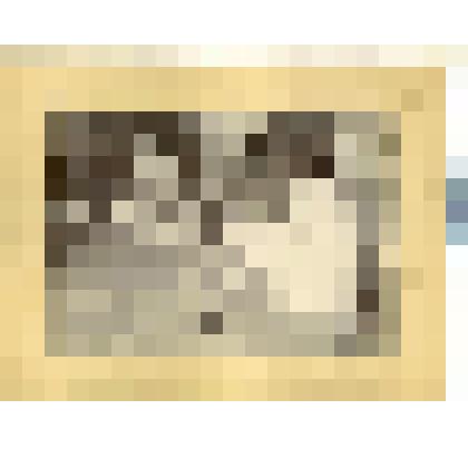 Фотография. Горбатовский уезд, с. Павлово. Производство бритв