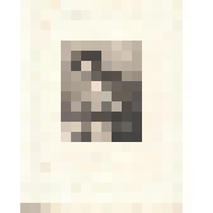 Гравюра. Портрет повара