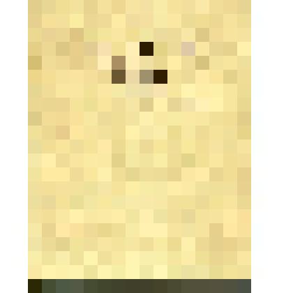 Книга. Л.Н. Толстой и изобразительное искусство. Сборник статей под редакцией М.М. Раковой