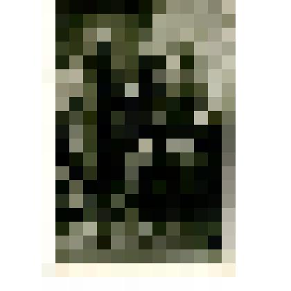 Фотокопия. Э. Толль с участниками Русской Полярной экспедиции