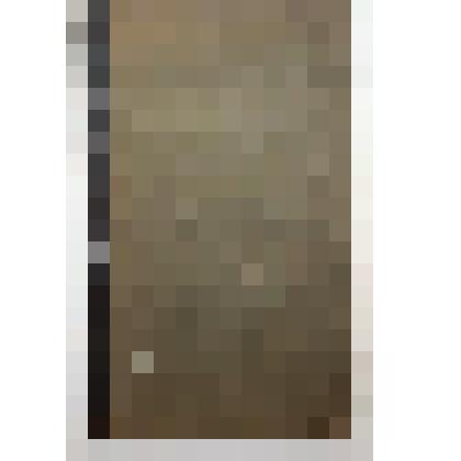 Книга. Беседы о русском лесе. Издание шестое. Типография А.С. Суворина