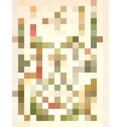 Иллюстрация. Таблица № 82. Выпуск "17-18".
 Из комплекта таблиц "Красота форм в природе"