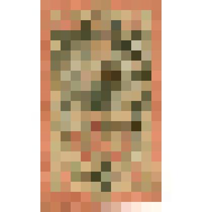 Государственный кредитный билет