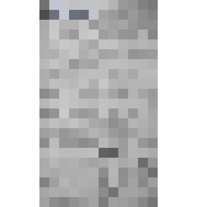 Газета "Адлерская правда"
№95 (3055) от 12.08.1959 г