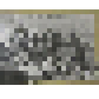 Фото. Отлов рыбы в рыбхозе с.Любимовка Нижнегорского района