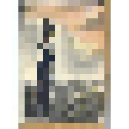 Наполеон, стоящий на берегу