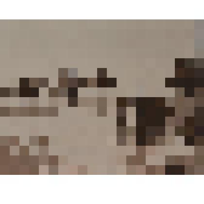 Конный отряд