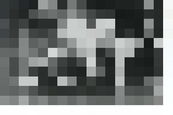 Фотография. С. Эфрон, М. Цветаева и др. в комнате. Коктебель. Из комплекта фотографий с изображением М. Цветаевой, С. Эфрона, А. Эфрон и др. в 1911-1915 гг. в  Коктебеле. Копия