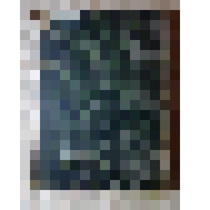 Журнал "Вестник Европы", январь 1881 г