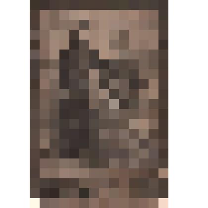 Фотография ч/б. Два молодых человека. Снимок сделан в Одессе в фотографии В.Черняева