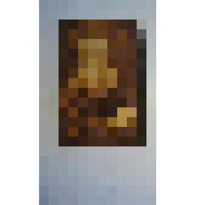 Портрет Л.Н.Толстого