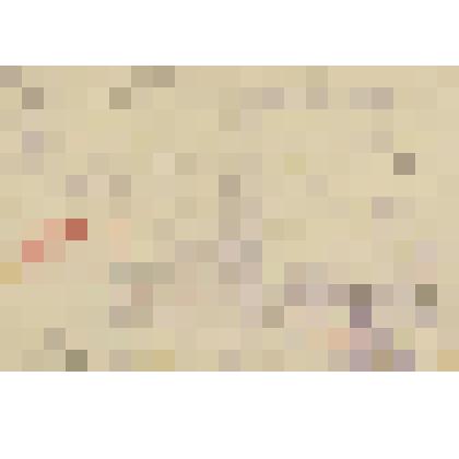 Документ. Служебная записка из Отдела вагонной службы, с просьбой подготовить и включить в поезда перечисленные ниже вагоны