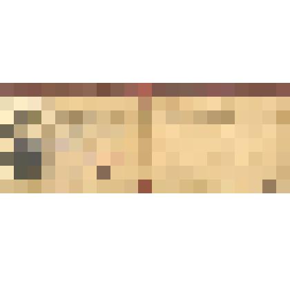 Удостоверение №79 бывшего красного партизана Трунтова З.С