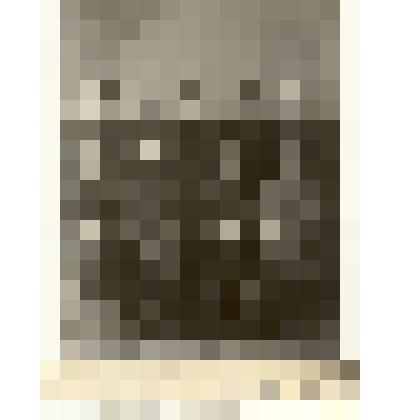 Фотография: правление укрупненного колхоза имени Чапаева Каменского района Алтайского края