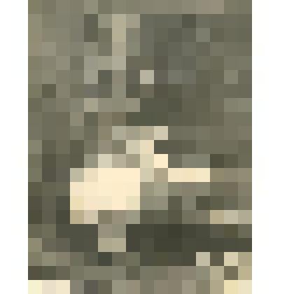 Фотография черно - белая.Конькова Ольга в женском общежитии