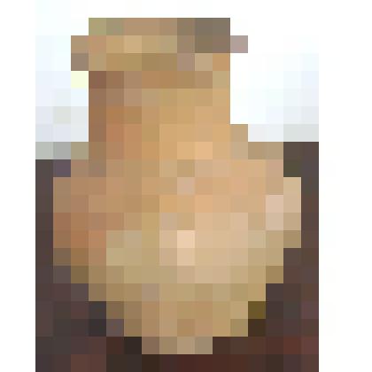 Корчажка (глиняный сосуд)