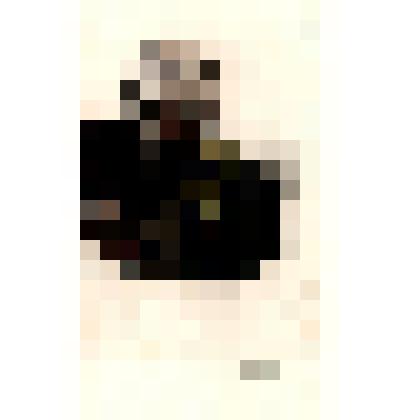 Литография «Портрет Пишегрю»