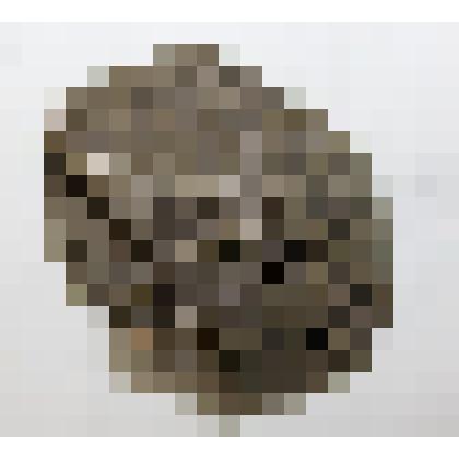 Арсенопирит,  халькопирит – штуф