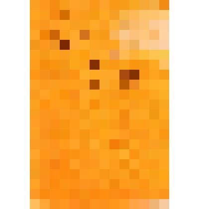 Фотопортрет поясной Яскеляйнен И. А. - инспектор РОНО Гатчинского р-на Ленинградской области