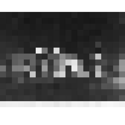 Фотография. Коммунисты Кубани на 26 съезде КПСС. На фото дворец съездов вид на Кремль