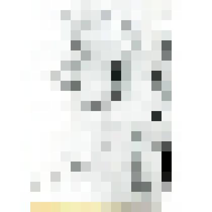 Фотокопия. "Письмо В.И. Ленина М.А. Бонч-Бревичу от 5 февраля 1920 года"