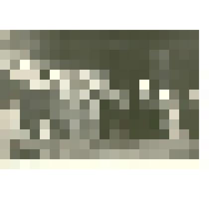 Фотография: встреча монгольской молодежи, прибывшей на учебу в профессионально-техническое училище №19 г.Камня-на-Оби Алтайского края