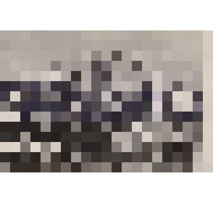 У обелиска Блюхеру