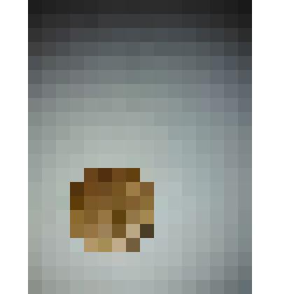 Монета 1 рубль