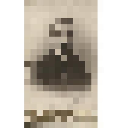 Фотография. Чилаев А.Н