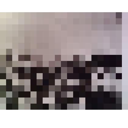 Фотография. Марсово поле