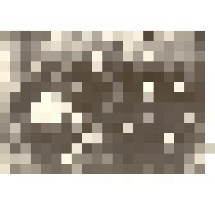 Фотография. Коллектив Каменского агенства "Союзкино". Копия