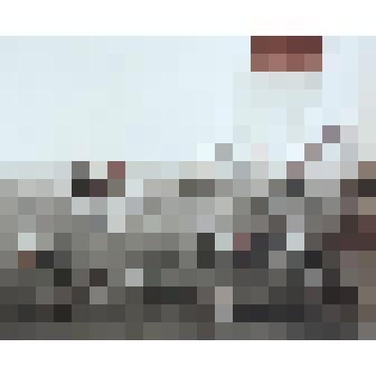 Яблоневая ветка