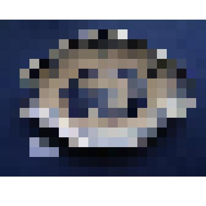 Блюдо для сардин вытянутой фигурной формы белое с синим декором, в медальоне - мельница