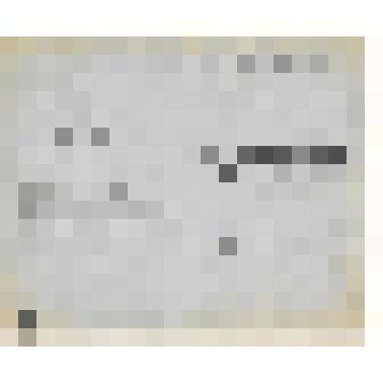 Документ. Программа к спектаклю "Аленький цветочек" по пьесе И.Карнауховой и Л.Брасуевич Кинешемского драматического театра имени А.Н.Островского.   Из коллекции материалов по истории Кинешемского драматического театра им. А.Н. Островского (1920-е гг. -19