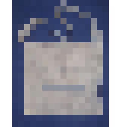 Сумка ученическая