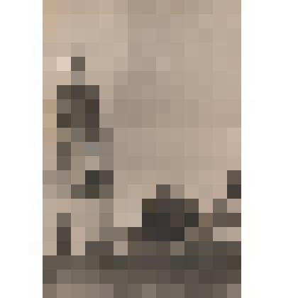 Фотография. с.Б.Мурашкино. Тихвинская церковь