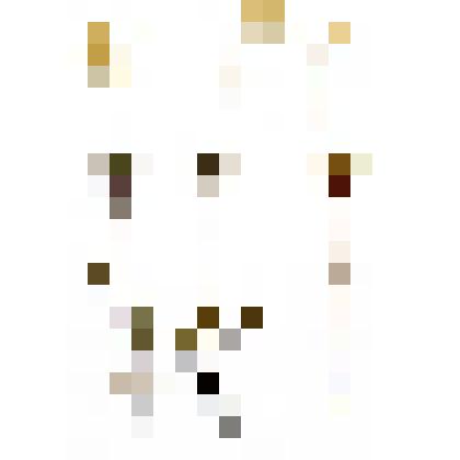 Ветреница лесная. Гербарный лист