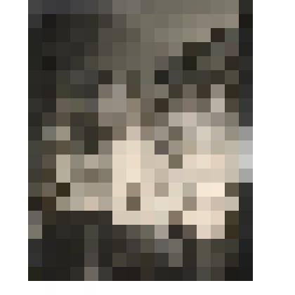 Ф/чб. Экспозиция Центрального музея АССР НП: информационный стенд, посвященный  Октябрьской революции 1905 (стенды, планшеты, снизу - прялка). Энгельс. 1941