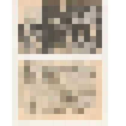 Вырезка из журнала фотографий Д.Рани