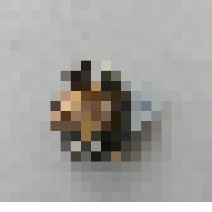 Знак почетный "Золотой фонд НГМУ" Шуева Владимира Алексеевича