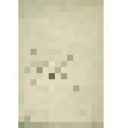 Книга Сольвычегодской свечной лавки за 1885 год  о приходе и отпуске свеч