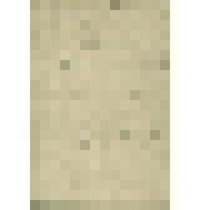 Книга межевая "Соливычегодского уезда Окологородной волости отхожих поженъ Ладеина…(?)"