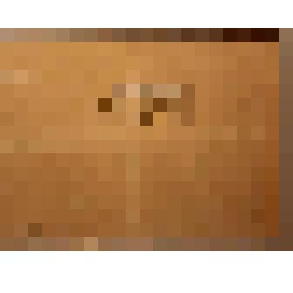 Уборка картофеля. Этюд