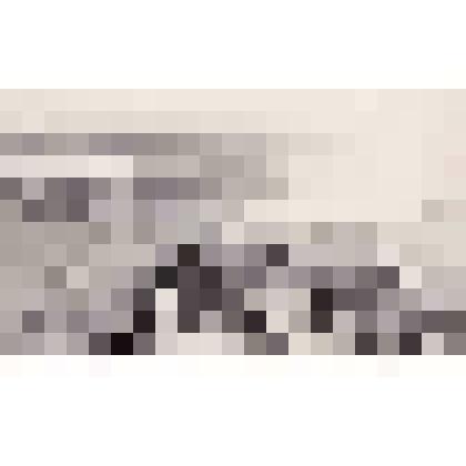 Фотография. Кадр из фильма "Праздники детства", к.с им. М. Горького