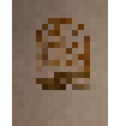 Exlibris MJ. (Для Молочинского)