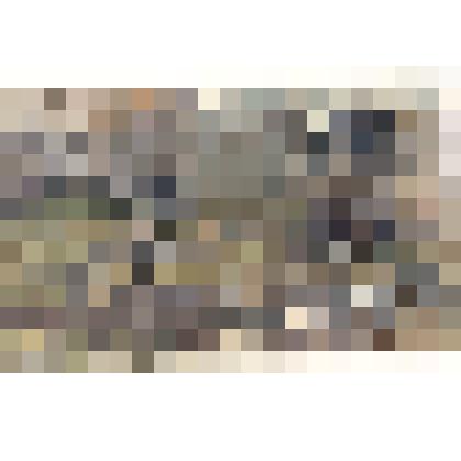 Последний снег